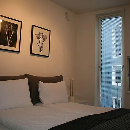 스타방에르 스몰 아파트먼트 - 시티 센터 아파트