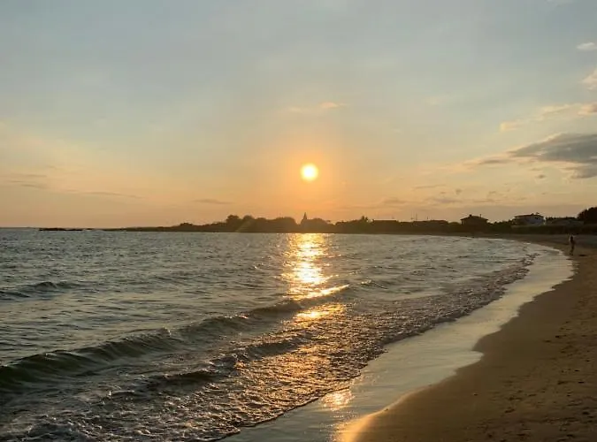 Small - Centre Daire *